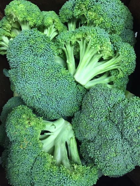 Broccoli - C &amp; L Produce