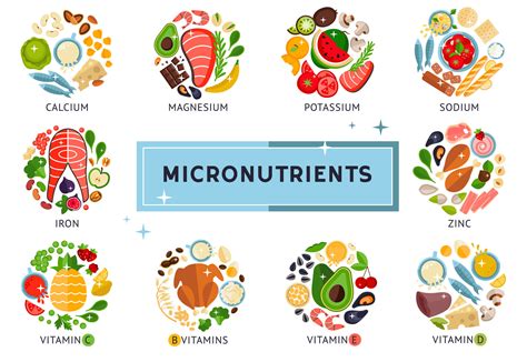 The food infographic about micronutrients, vitamins, design template ...