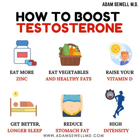 Optimal diet for male testosterone & muscle growth?