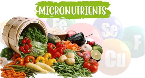 Which micronutrients are specifically linked to supporting healthy testosterone levels in men?