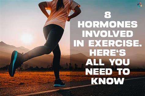 Best 8 Hormones Involved In Exercise. Here's All You Need To Know | The ...
