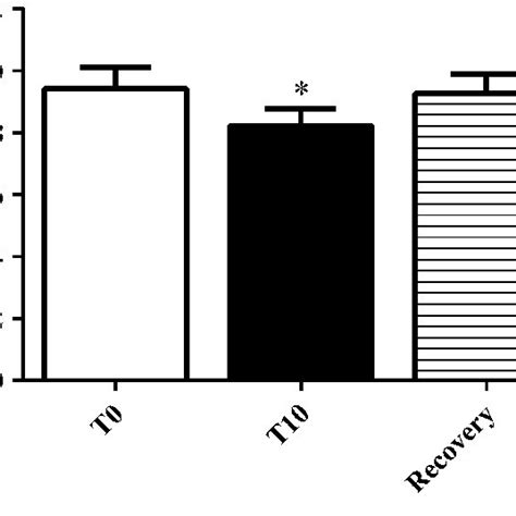 How to optimize recovery for peak strength gains and daily energy?
