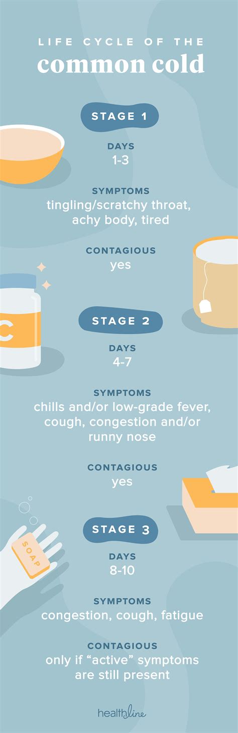 Life Cycle of the Common Cold (2022)