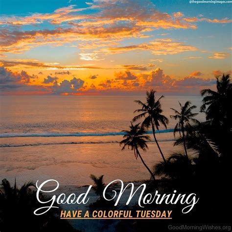 60+ Adorable Tuesday Good Morning Wishes - Good Morning Wishes