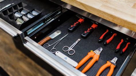 How to Stay Organized as a Dog Groomer