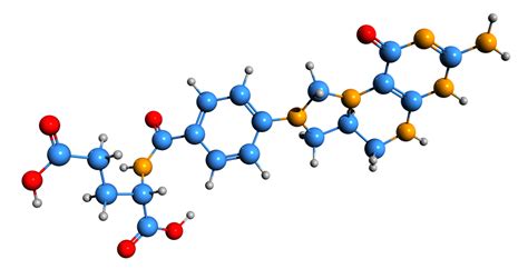 What Are Metabolic Pathways? - Panacea Scientific