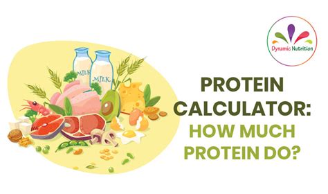 Protein Calculator: How Much Protein Do You Need? | Dynamic Nutrition